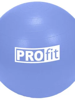 Gymnastický míč 65 cm s DK 2102 model 21155486 - PROfit