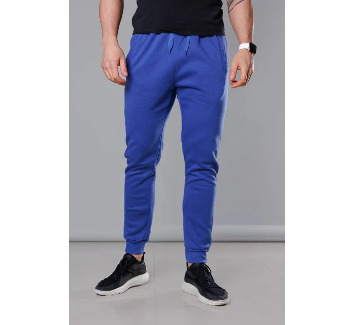 Modré pánske teplákové nohavice (68XW01-15) Modré pánske teplákové nohavice (68XW01-15)