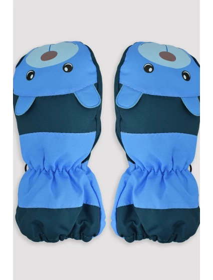 LYŽIARSKE RUKAVICE RN038 LYŽIARSKE RUKAVICE RN038