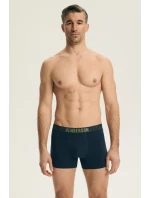 PÁNSKÉ ŠORTKY 2PACK DLOUHÉ model 21902124 - Henderson