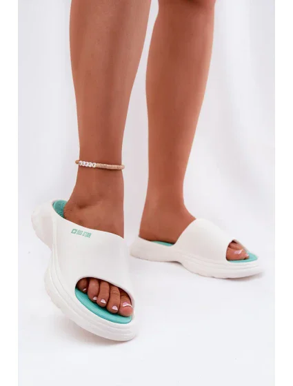 Papuče model 212371 Step in style