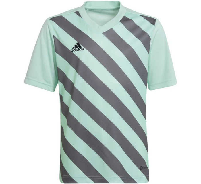 Dětský dres Entrada 22 Graphic Jersey Jr model 17233750 - ADIDAS