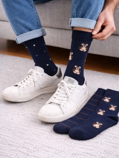 Pánské ponožky Premium A'3 model 20826735 - Cornette