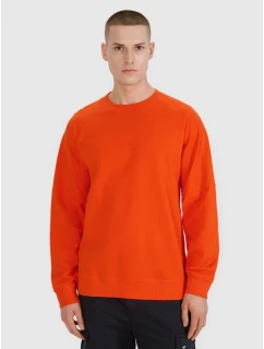 Pánská mikina s kapucí model 21436687 pánské - 4F