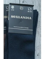 WiK Soxlandia 043 Cashmere 16 ponožiek 39-46