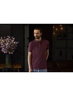 Pánské elastické piqué polo 10. fuchsia model 22473908 - Russell Athletic Pánské elastické piqué polo 10. fuchsia model 22473908 - Russell Athletic