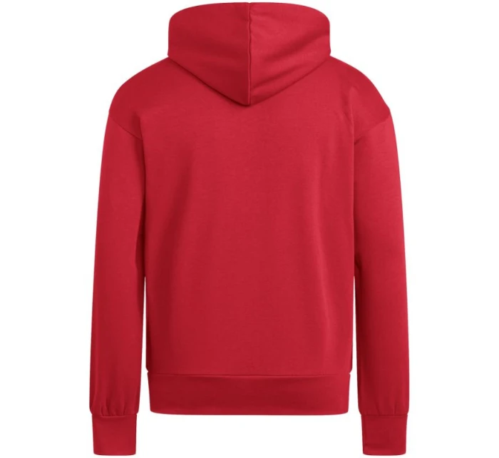 Pánska mikina adidas Essentials Feelcozy Hoodie red KC0907 pánska