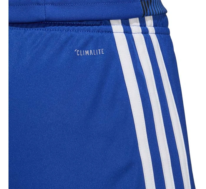 Pánske šortky Tastigo 19 M DP3682 - Adidas