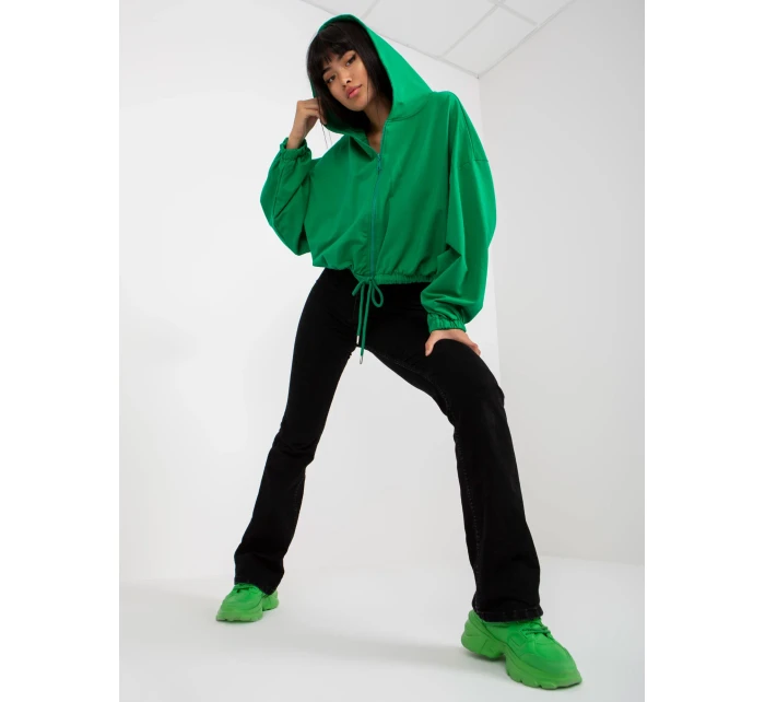 Mikina RV BL model 17537862 zelená - FPrice