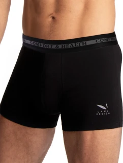 SZORTY MĘSKIE model 22037343 2PACK - Lama