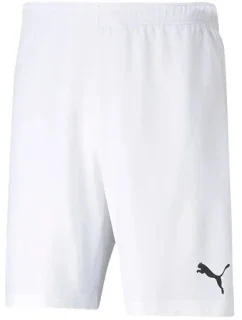 Pánské šortky teamRISE Short M model 16082263 03 - Puma