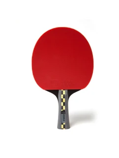 Raketa na stolní tenis Carbon Pro model 21857764 - Joola