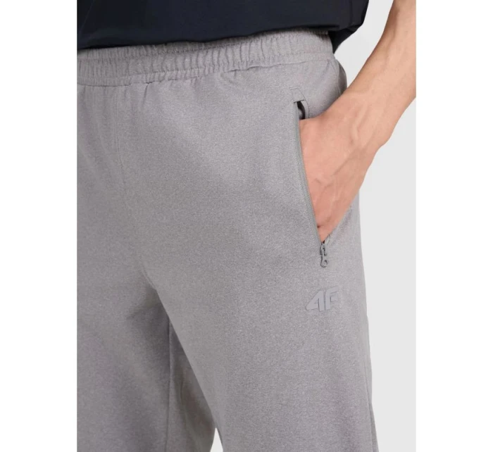 Spodnie męskie model 21460734 - 4F Spodnie męskie model 21460734 - 4F