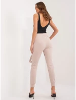 Spodnie dresowe RV DR model 20095228 beżowy - FPrice