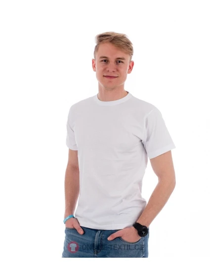 Pánské tričko Basic model 21345017 Bílá - Malfini