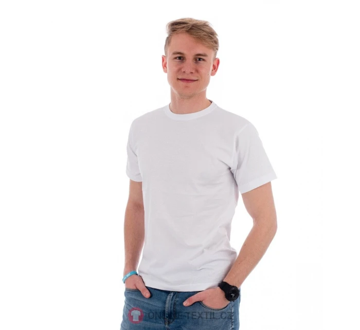 Pánské tričko Basic model 21345017 Bílá - Malfini