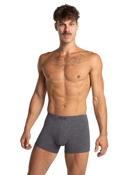 PÁNSKÉ ŠORTKY model 22024446 2PACK - Lama