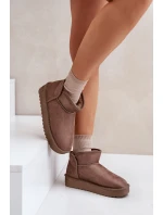 Dámské Sněhule Na Platformě model 21677079 Taupe - D.Franklin