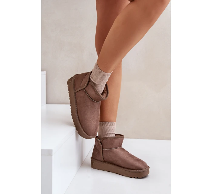 Dámské Sněhule Na Platformě model 21677079 Taupe - D.Franklin