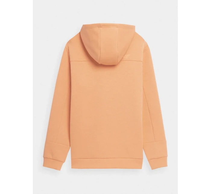 Pánská mikina 4F Pánská mikina 4F