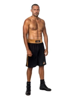 Tréning boxerov GOLD