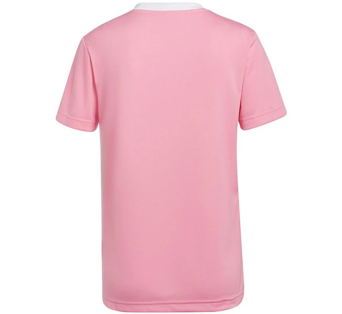 Dámske tenisky Entrada 22 W HC5075 - Adidas