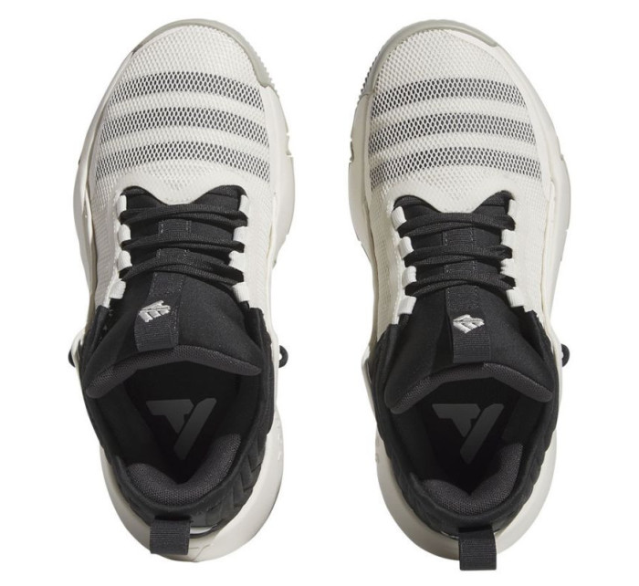 Adidas Trae Unlimited Jr basketbalové topánky IG0704