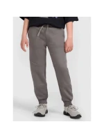 Chlapecké tepláky  model 21736566 - 4F