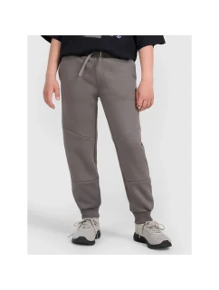 Chlapecké tepláky  model 21736566 - 4F