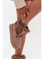 Dámské Sněhule Na Platformě S Kožíškem A Šněrováním Big Star model 21705904 Béžové - Big Star Shoes