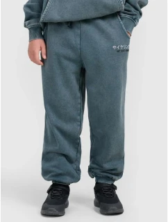 Chlapčenské tepláky joggers 4F 4FJRAW25TTROM1528-46S