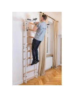 GYMNASTICKÝ REBRÍK S NASTAVITEĽNOU KOVOVOU TYČOU 731W BENCHK