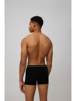 PÁNSKE BOXERKY 20153