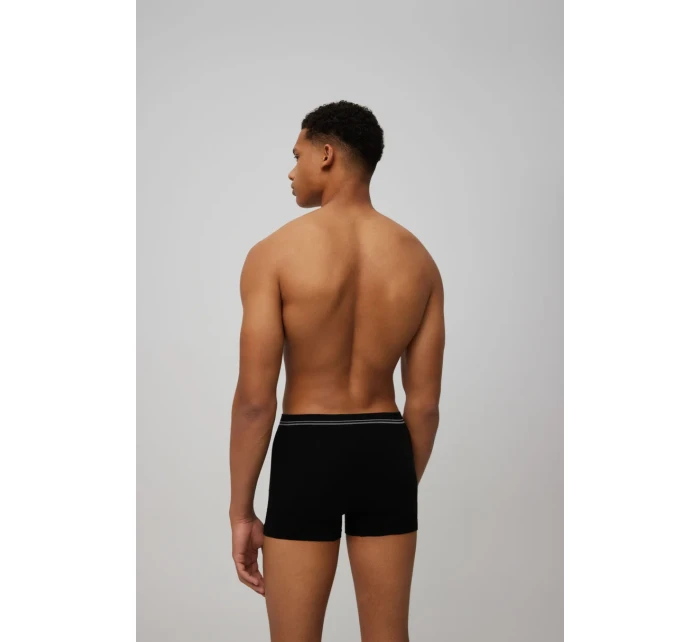 PÁNSKE BOXERKY 20153