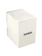 Hodinky model 21804767 + krabice - CASIO Hodinky model 21804767 + krabice - CASIO