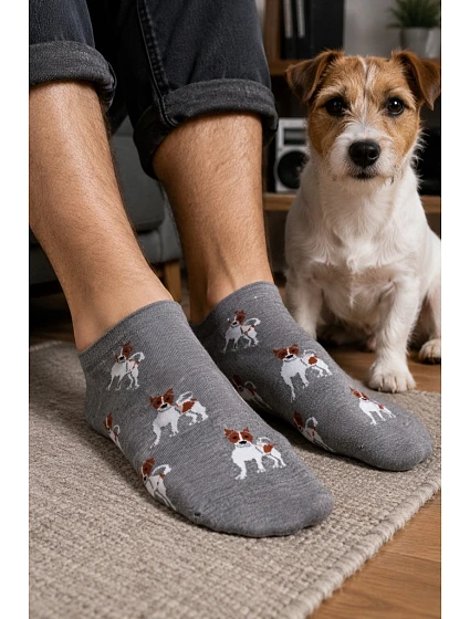 Pánske nohy Jack Russell teriér 1108.057