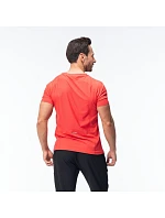 Pánské tričko model 22098410 s krátkým rukávem - IQ