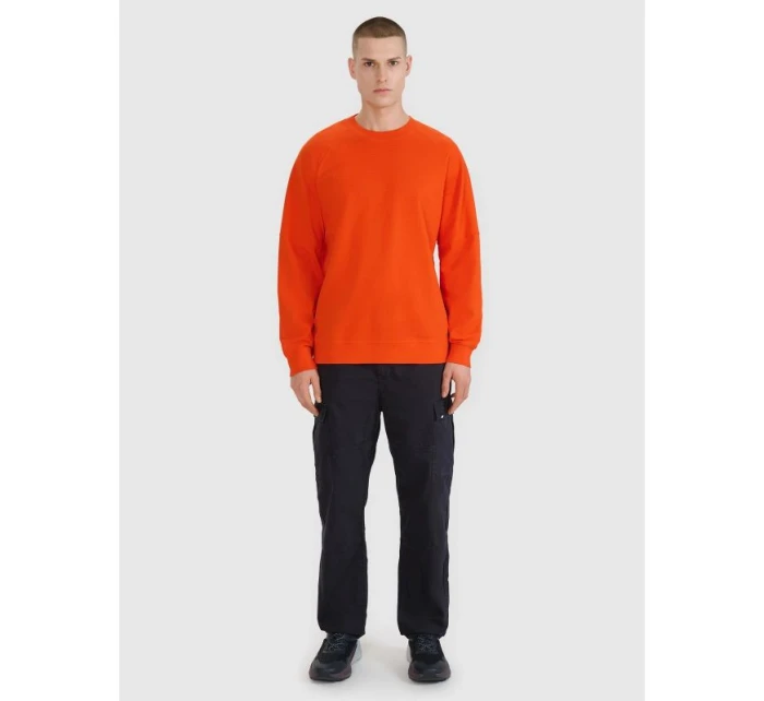 Pánska mikina s kapucňou 4F 4FRSS25TSWSM2179-70S pánska Pánska mikina s kapucňou 4F 4FRSS25TSWSM2179-70S pánska