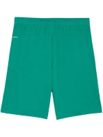 Pánské šortky Team Goal zelené model 21767413 05 - Puma Pánské šortky Team Goal zelené model 21767413 05 - Puma