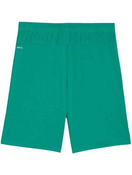 Pánské šortky Team Goal zelené model 21767413 05 - Puma Pánské šortky Team Goal zelené model 21767413 05 - Puma