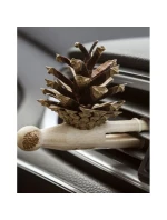 Zestaw   1 x  + 1  (LP) model 21357821 - Pani Szyszka