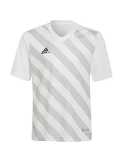 Dětské tričko Entrada 22 Graphic Jersey Jr model 17095745 - ADIDAS