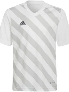 Dětské tričko Entrada 22 Graphic Jersey Jr model 17095745 - ADIDAS