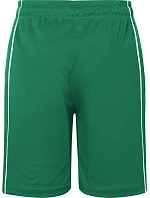 Daiber JN 387K Dětské týmové kraťasy "Basic" 02.387K green/white Daiber JN 387K Dětské týmové kraťasy "Basic" 02.387K green/white