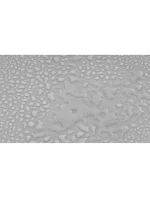 OGRODOWY  SZARY model 21831641