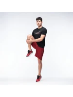 Pánské šortky model 21357277 - IQ