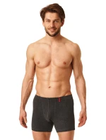 Pánské boxerky model 18872863 155 Hot Touch M2XL - Key