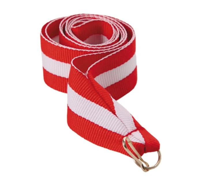 Wstążka 22 mm - model 21829879