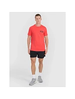 Pánské tričko s potiskem model 22071351 - 4F