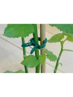 SPONKY NA RASTLINY 20KS KINZO SPONKY NA RASTLINY 20KS KINZO